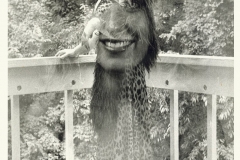 Charlotte Laws in her 20s